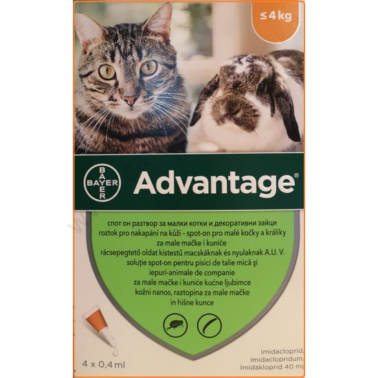 Advantage 40 Spot On Macska Es Hobbinyul Bolhairto Csepp 4 Kg Ig Bolhairtok Allatihami