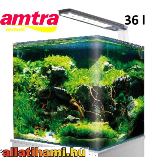 Amtra Nano Tank 36 - Nano Aquarium 36 liter komplett világítással és szűrővel