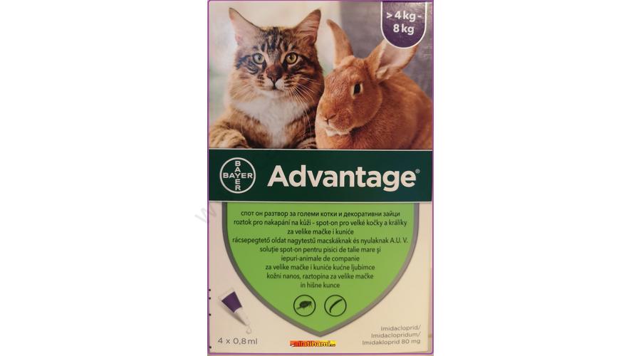 Advantage 80 Spot On Macska Es Nyul Bolhairto Csepp 4 8 Kg Bolhairtok Allatihami